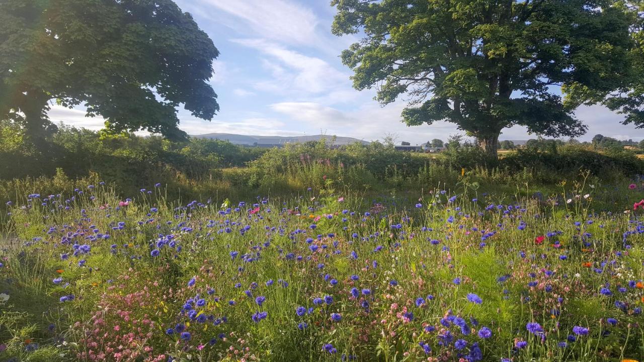 The Smiddy House Villa Auchterarder Bagian luar foto
